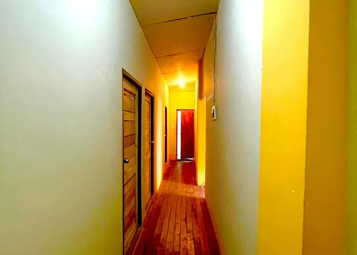 El Mirador *
