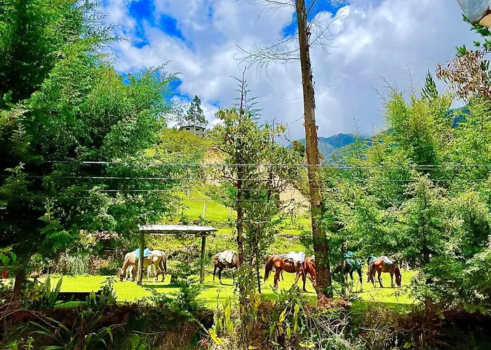 El Mirador Colpapampa